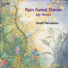 Rain forest dream percuss - rain,