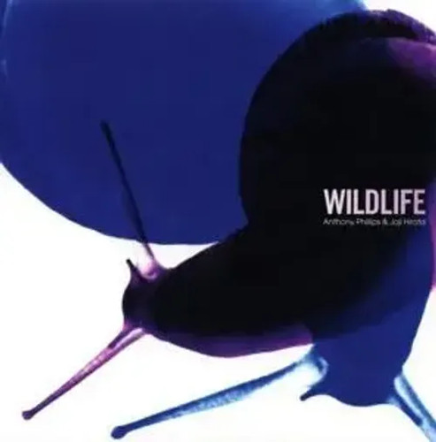 Wildlife 2cd remastered and - wildlife,