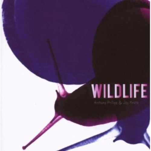 Phillips anthony wildlife - anthony,